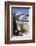 Rocky Mountain Bighorn Sheep Ram-Ken Archer-Framed Photographic Print