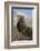 Rocky Mountain Bighorn sheep ram-Ken Archer-Framed Photographic Print