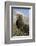 Rocky Mountain Bighorn sheep ram-Ken Archer-Framed Photographic Print