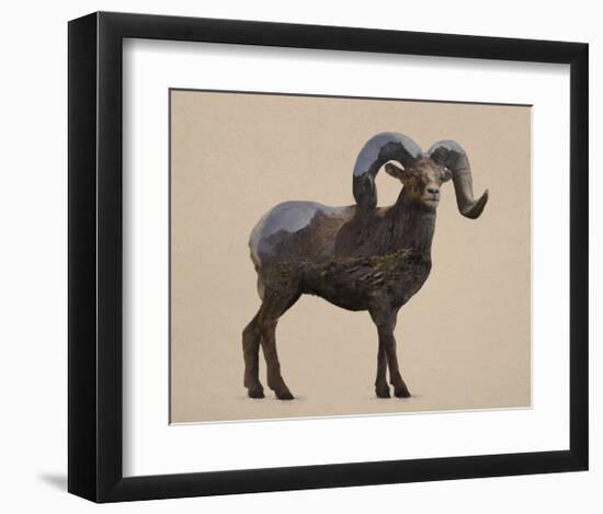 Rocky Mountain Bighorn-Davies Babies-Framed Art Print