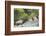 Rocky Mountain Bull Elk Bugling-Ken Archer-Framed Photographic Print