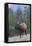 Rocky Mountain Bull Elk-Ken Archer-Framed Premier Image Canvas