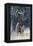 Rocky Mountain Bull Elk-Ken Archer-Framed Premier Image Canvas