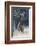 Rocky Mountain Bull Elk-Ken Archer-Framed Photographic Print