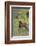 Rocky Mountain Elk Calf-Ken Archer-Framed Photographic Print