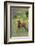 Rocky Mountain Elk Calf-Ken Archer-Framed Photographic Print