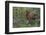 Rocky Mountain Elk Calf-Ken Archer-Framed Photographic Print