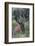 Rocky Mountain Elk Calf-Ken Archer-Framed Photographic Print