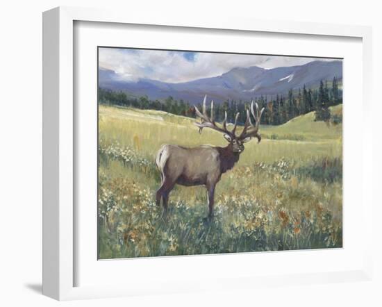 Rocky Mountain Elk I-Tim OToole-Framed Art Print