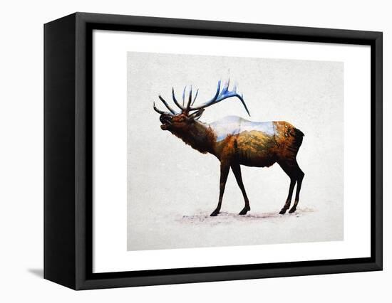 Rocky Mountain Elk-Davies Babies-Framed Stretched Canvas