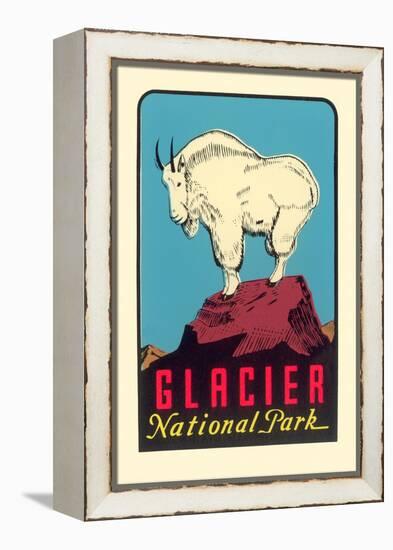 Rocky Mountain Goat, Glacier National Park, Montana-null-Framed Stretched Canvas