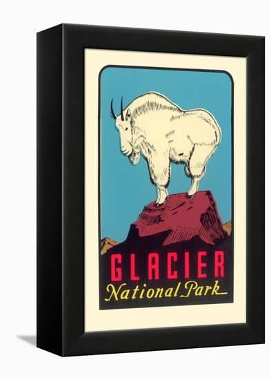 Rocky Mountain Goat, Glacier National Park, Montana-null-Framed Stretched Canvas