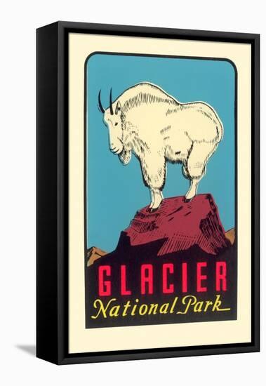 Rocky Mountain Goat, Glacier National Park, Montana-null-Framed Stretched Canvas