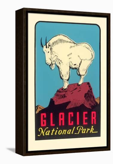 Rocky Mountain Goat, Glacier National Park, Montana-null-Framed Stretched Canvas