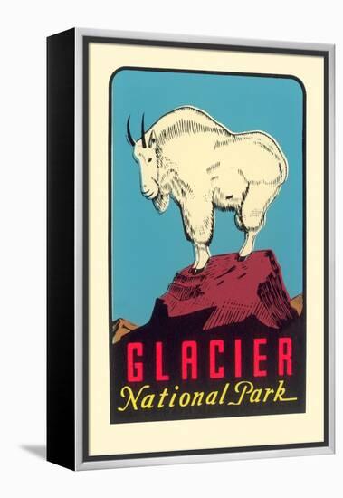 Rocky Mountain Goat, Glacier National Park, Montana-null-Framed Stretched Canvas