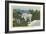 Rocky Mountain Goat, Glacier Park, Montana-null-Framed Art Print