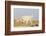 Rocky Mountain Goat-Lynn M^ Stone-Framed Photographic Print