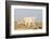 Rocky Mountain Goat-Lynn M^ Stone-Framed Photographic Print