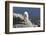 Rocky Mountain Goat-Lynn M^ Stone-Framed Photographic Print