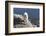 Rocky Mountain Goat-Lynn M^ Stone-Framed Photographic Print