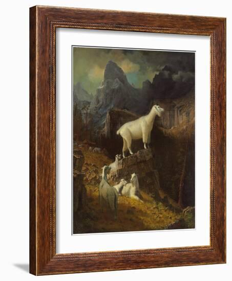 Rocky Mountain Goats, C.1885-Albert Bierstadt-Framed Giclee Print