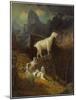 Rocky Mountain Goats, C.1885-Albert Bierstadt-Mounted Giclee Print