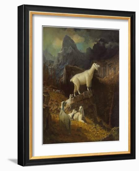 Rocky Mountain Goats, C.1885-Albert Bierstadt-Framed Giclee Print