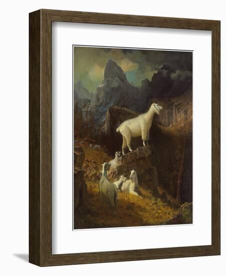 Rocky Mountain Goats, C.1885-Albert Bierstadt-Framed Giclee Print