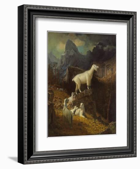 Rocky Mountain Goats, C.1885-Albert Bierstadt-Framed Giclee Print