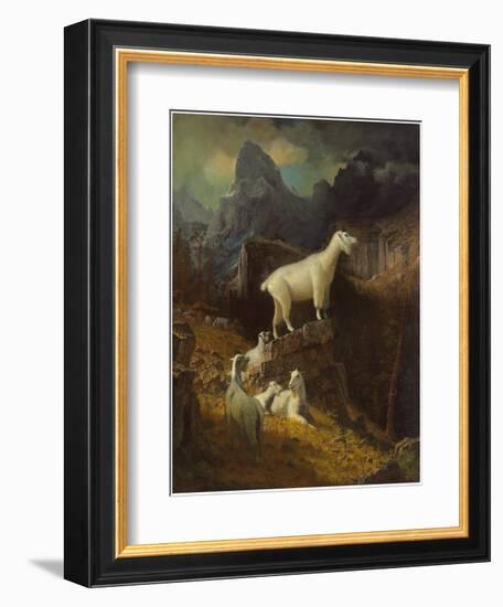 Rocky Mountain Goats, C.1885-Albert Bierstadt-Framed Giclee Print