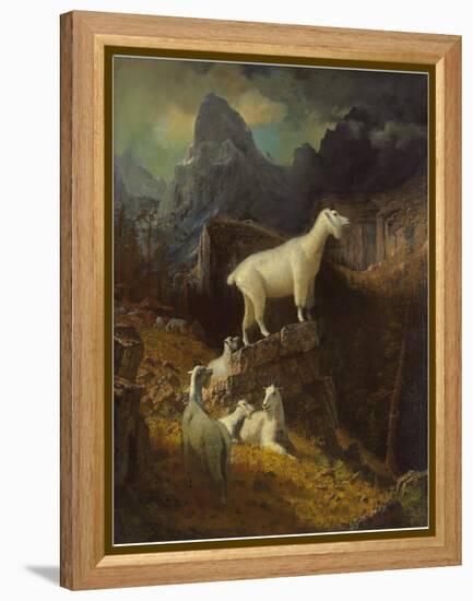 Rocky Mountain Goats, C.1885-Albert Bierstadt-Framed Premier Image Canvas