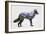 Rocky Mountain Grey Wolf-Davies Babies-Framed Art Print