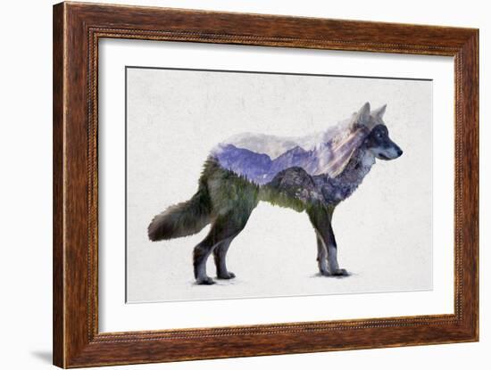 Rocky Mountain Grey Wolf-Davies Babies-Framed Art Print