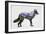 Rocky Mountain Grey Wolf-Davies Babies-Framed Art Print