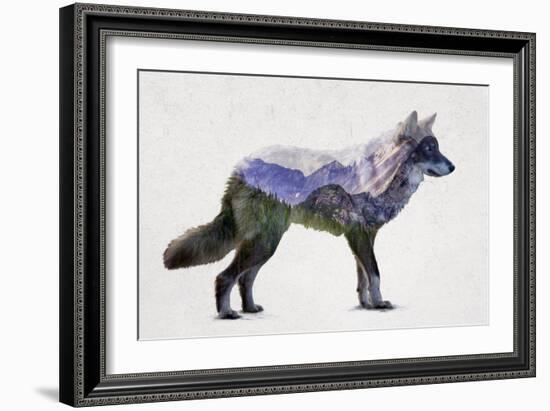 Rocky Mountain Grey Wolf-Davies Babies-Framed Art Print