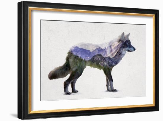 Rocky Mountain Grey Wolf-Davies Babies-Framed Art Print