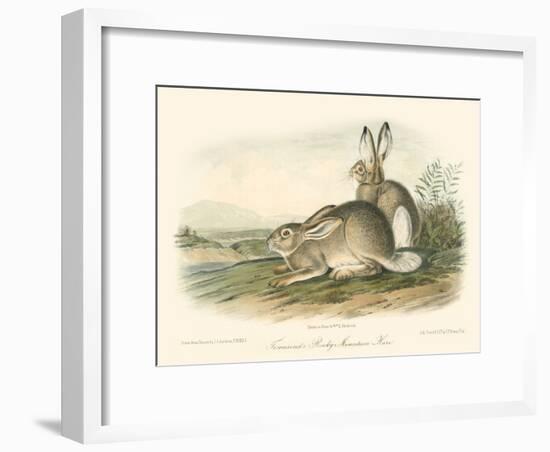 Rocky Mountain Hare-John James Audubon-Framed Art Print