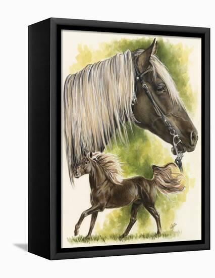 Rocky Mountain Horse-Barbara Keith-Framed Premier Image Canvas