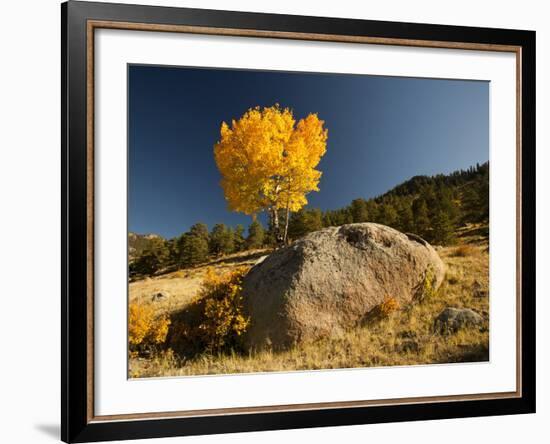 Rocky Mountain National Park Aspen, Colorado, USA-Patrick J^ Wall-Framed Photographic Print