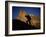 Rocky Mountain National Park, Colorado, USA-null-Framed Photographic Print