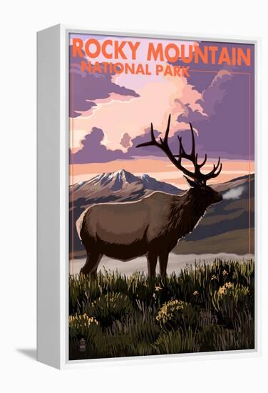 Rocky Mountain National Park - Elk and Sunset-Lantern Press-Framed Stretched Canvas