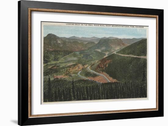 Rocky Mountain National Park - Trail Ridge Road-Lantern Press-Framed Art Print