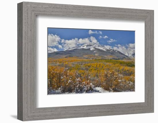 Rocky Mountains, Colorado. Fall Colors of Aspens and fresh snow Keebler Pass-Darrell Gulin-Framed Photographic Print