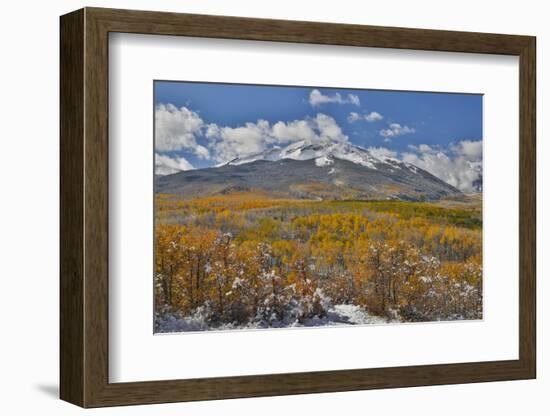 Rocky Mountains, Colorado. Fall Colors of Aspens and fresh snow Keebler Pass-Darrell Gulin-Framed Photographic Print