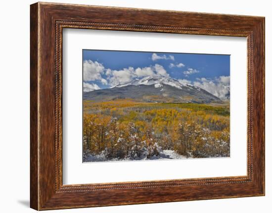 Rocky Mountains, Colorado. Fall Colors of Aspens and fresh snow Keebler Pass-Darrell Gulin-Framed Photographic Print