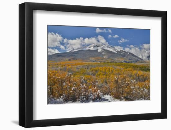 Rocky Mountains, Colorado. Fall Colors of Aspens and fresh snow Keebler Pass-Darrell Gulin-Framed Photographic Print