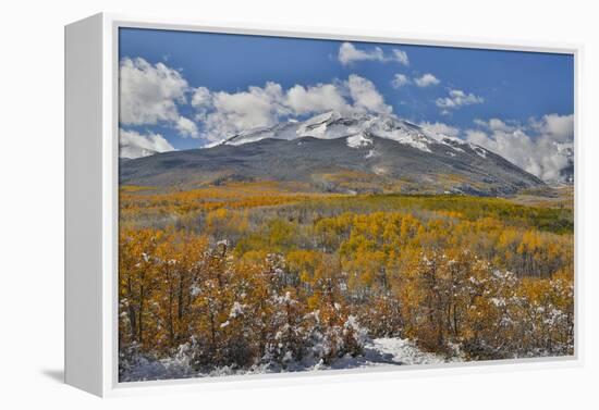 Rocky Mountains, Colorado. Fall Colors of Aspens and fresh snow Keebler Pass-Darrell Gulin-Framed Premier Image Canvas