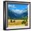 Rocky Mountains National Park Vista, Colorado,USA-Anna Miller-Framed Photographic Print