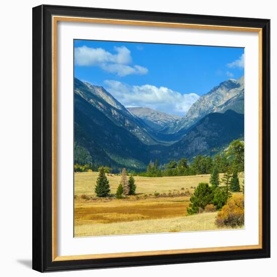 Rocky Mountains National Park Vista, Colorado,USA-Anna Miller-Framed Photographic Print