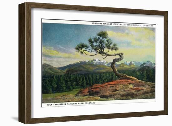 Rocky Mt. Nat'l Park, Colorado - High Drive Lonesome Pine View of Long's Peak-Lantern Press-Framed Art Print